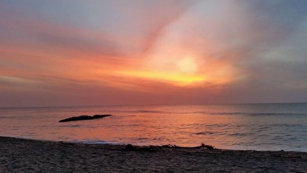 Surf Bay Resort Arugam Bay Zewnętrze zdjęcie